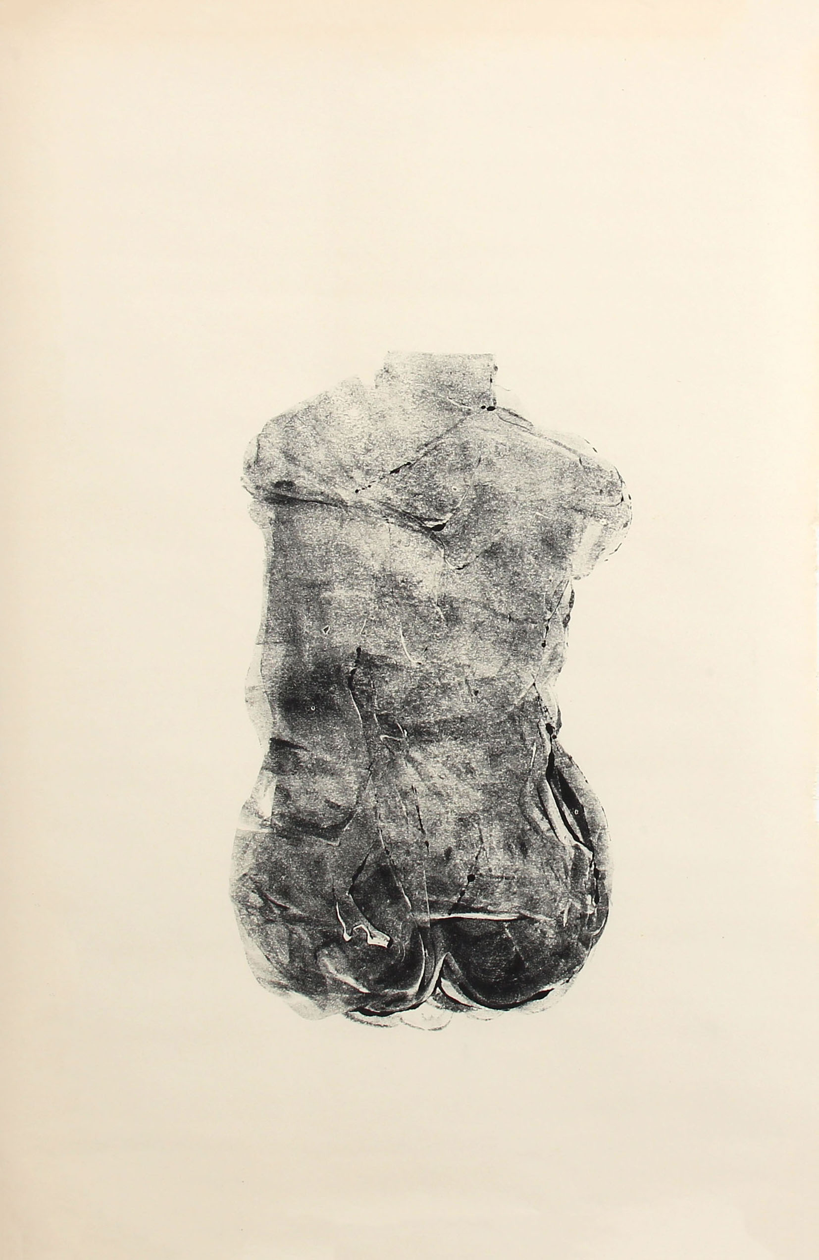 Torso